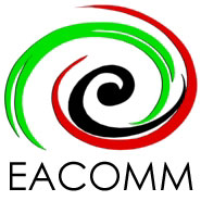 EACOMM Corporation Philippines: Web, Multimedia, and Software Design and Development